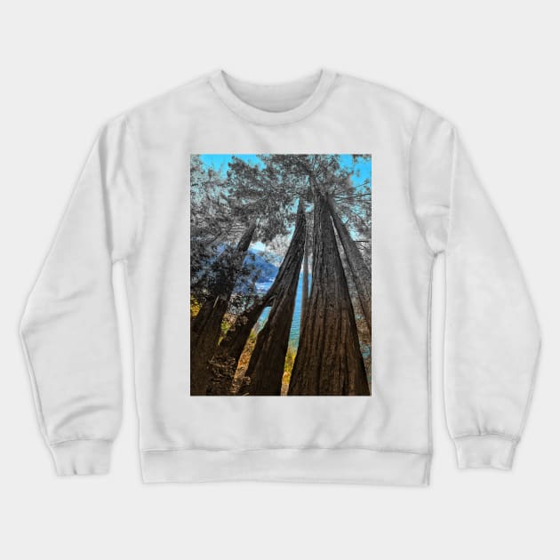 Big Sur Crewneck Sweatshirt by Haack Art